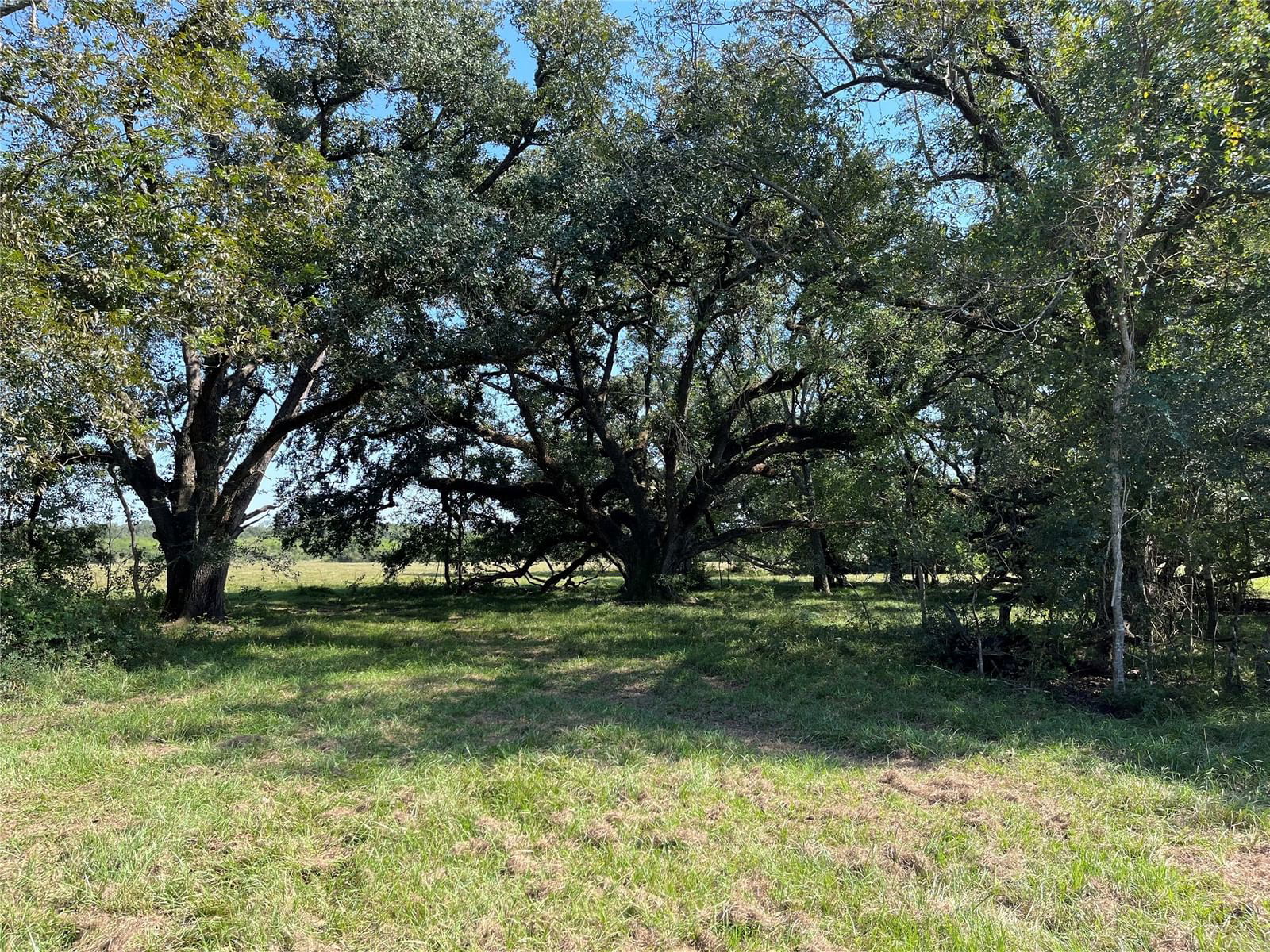 Real estate property located at 00 Cr-534, Brazoria, P D Mcneel, Damon, TX, US