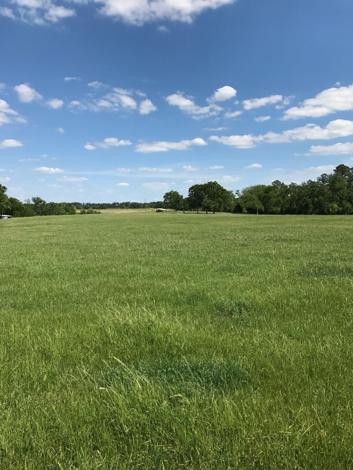 Real estate property located at TBD Shepard Hill Rd, Montgomery, Hostetter Creek, Willis, TX, US