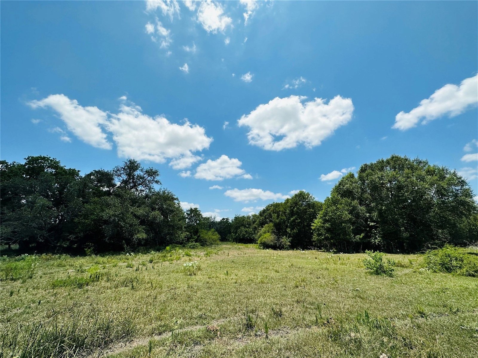 Real estate property located at TBD Davis Estate, Fort Bend, Needville, TX, US