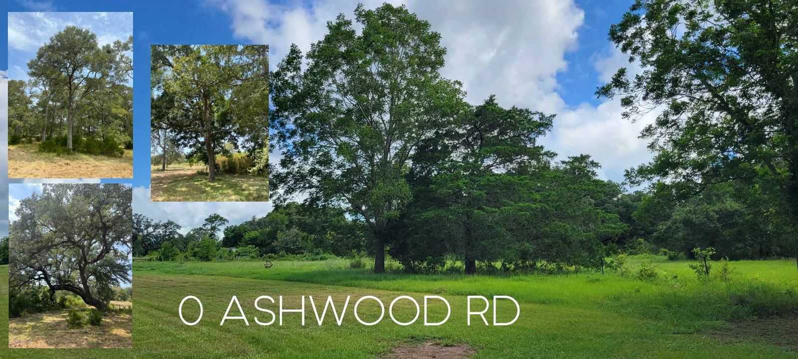 Real estate property located at 0 CR 112 ASHWOOD RD, Matagorda, AB 0083, D RAWLS, Van Vleck, TX, US