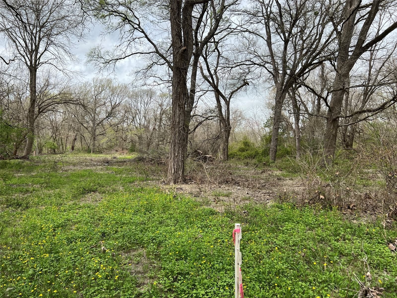 Real estate property located at TBD County Road 405, Grimes, Other, Navasota, TX, US