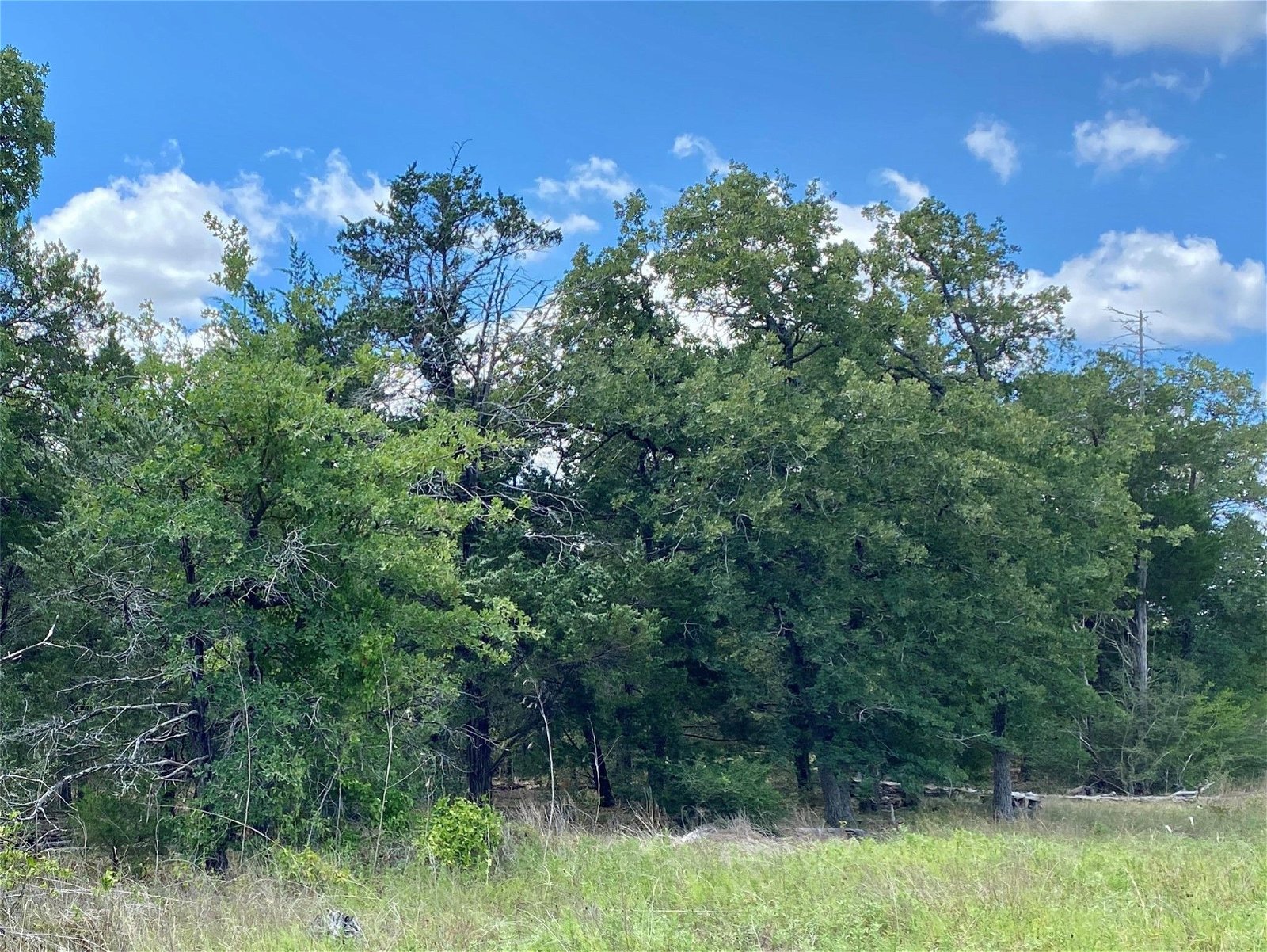 Real estate property located at TBD Goehring Rd - Tract 1, Fayette, Ledbetter, TX, US