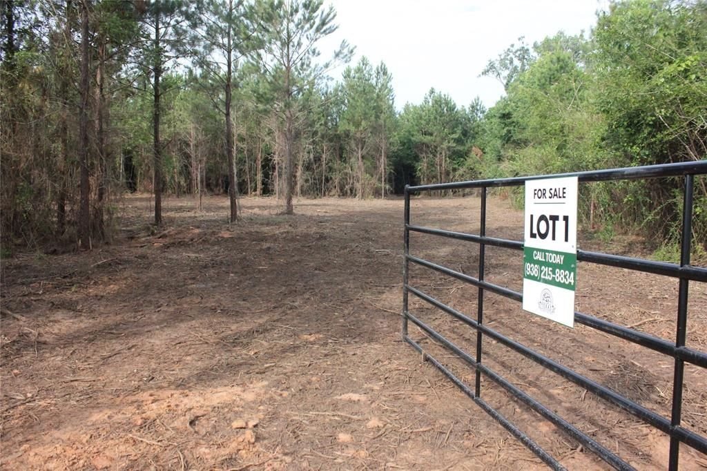 Real estate property located at 0 Fm 2251 Lot 1, Angelina, Vicente Micheli Surv Abs 29, Lufkin, TX, US
