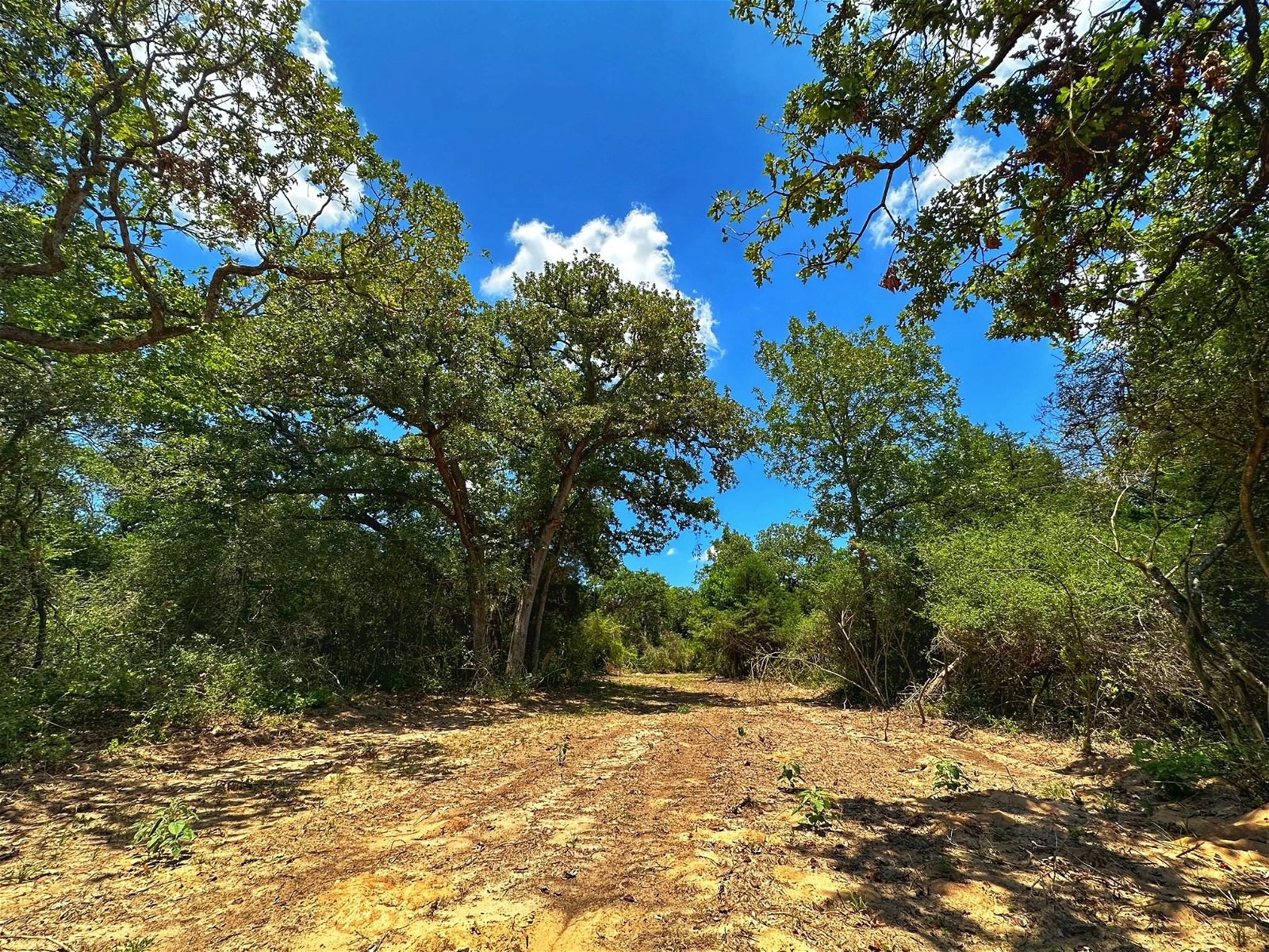 Real estate property located at 31 ac CR 302, Leon, Midway Land Company, Buffalo, TX, US