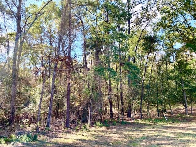 Real estate property located at TBD 4.6+/-AC CR 2310, Tyler, Rural, Woodville, TX, US