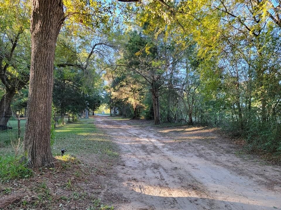 Real estate property located at 11201 County Road 203, Grimes, Dyer Mill, Plantersville, TX, US