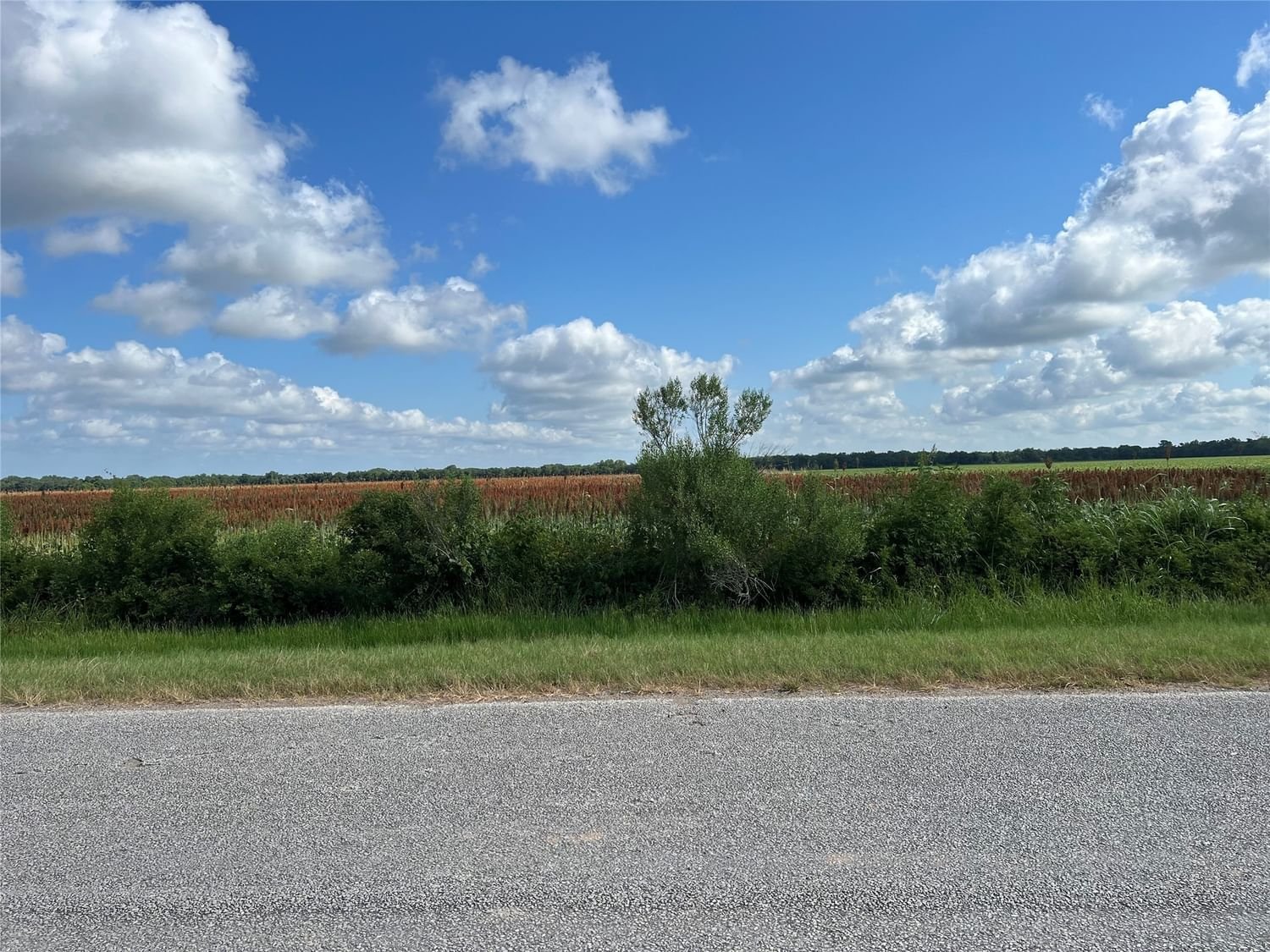Real estate property located at TBD Beard, Fort Bend, Needville, TX, US