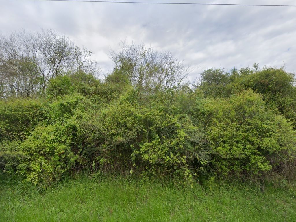 Real estate property located at 0 Pipeline, Brazoria, Mulcahy, Damon, TX, US