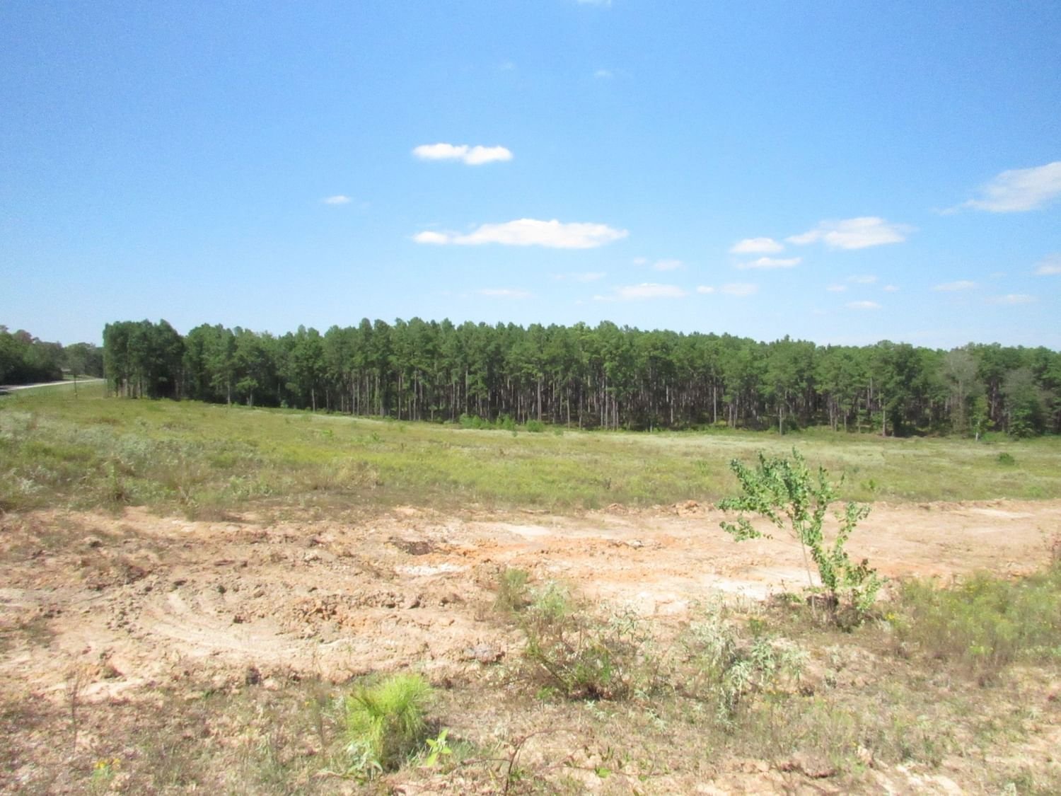 Real estate property located at 0007 FM 256 N, Tyler, The Timbers at 256, Woodville, TX, US