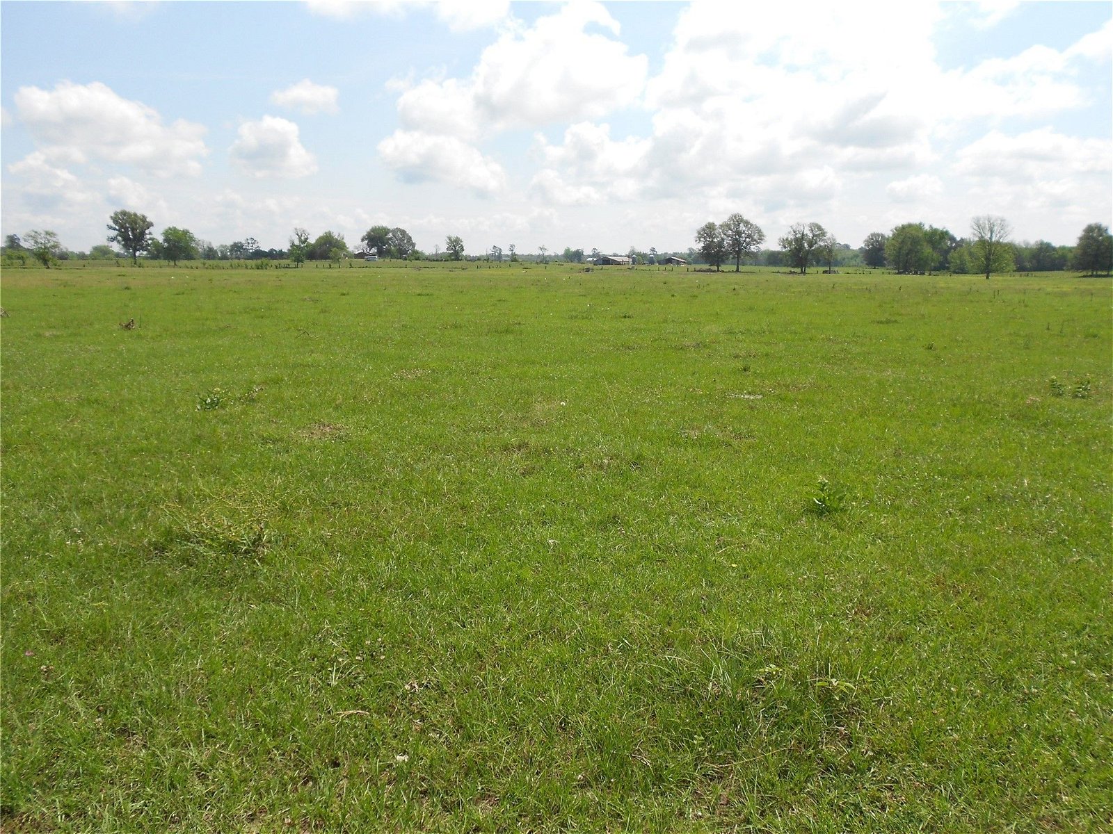 Real estate property located at Na Due Fork, Trinity, Na, Groveton, TX, US