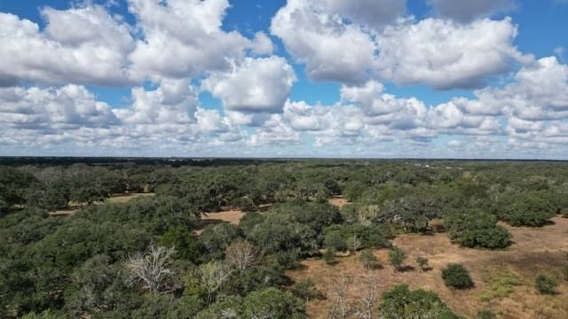 Real estate property located at 1293 Pintail, Colorado, Wild Wing Preserve, Columbus, TX, US