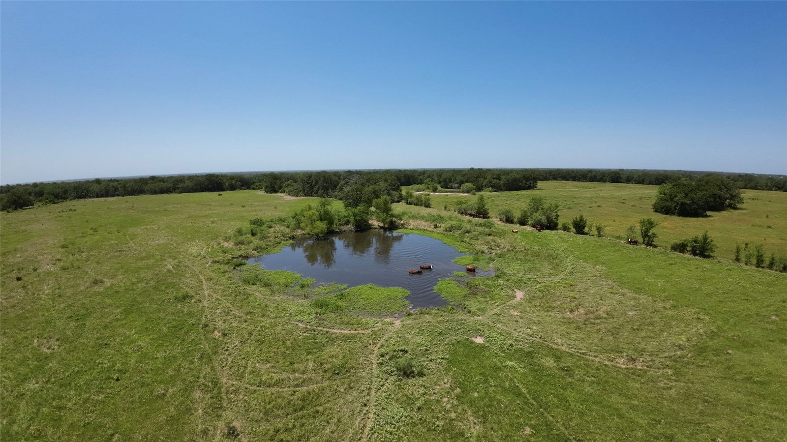 Real estate property located at 0000 Highway 75 S, Madison, Madisonville, TX, US