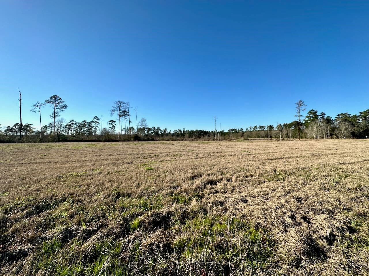 Real estate property located at 6435 Mustang Trail, Hardin, McDade, Kountze, TX, US