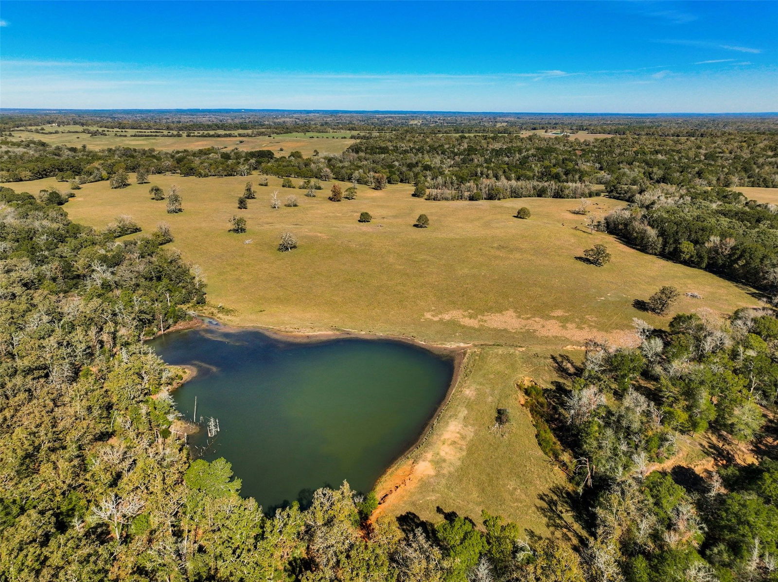 Real estate property located at 11500 County Road 112, Leon, Centerville, TX, US