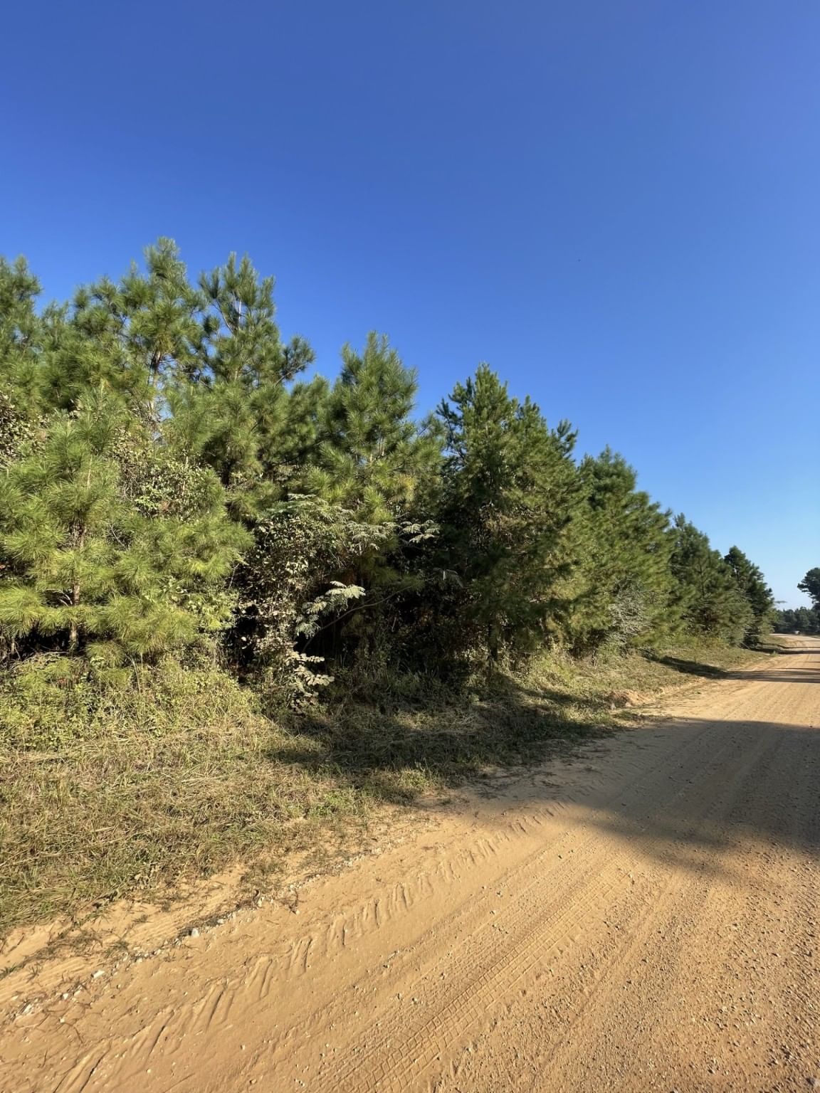 Real estate property located at TBD County Road 546, Nacogdoches, Whitetail Hills, Nacogdoches, TX, US