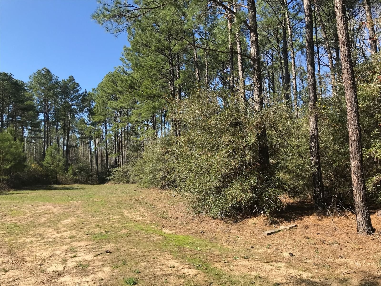 Real estate property located at 802 CR 483, San Augustine, N/A, Broaddus, TX, US