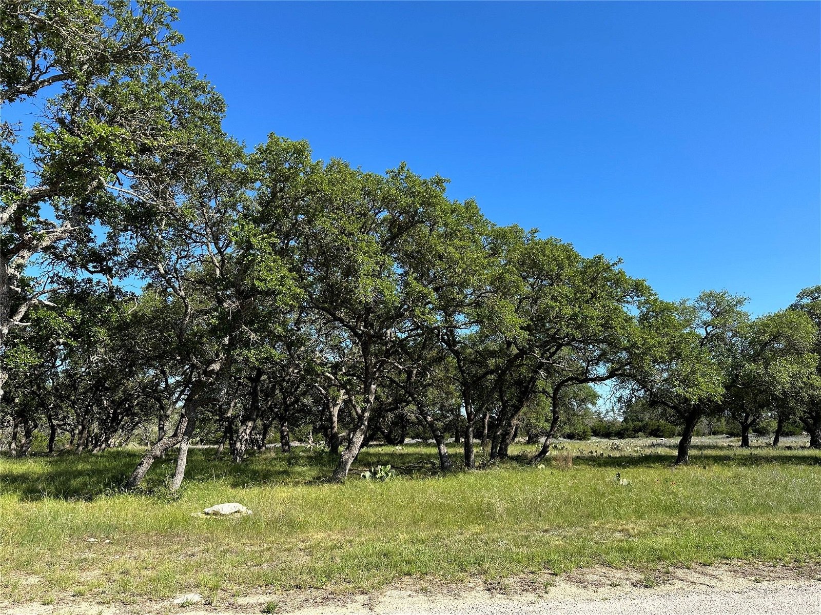 Real estate property located at Lot 125 Red Stag, Burnet, Lampasas, TX, US