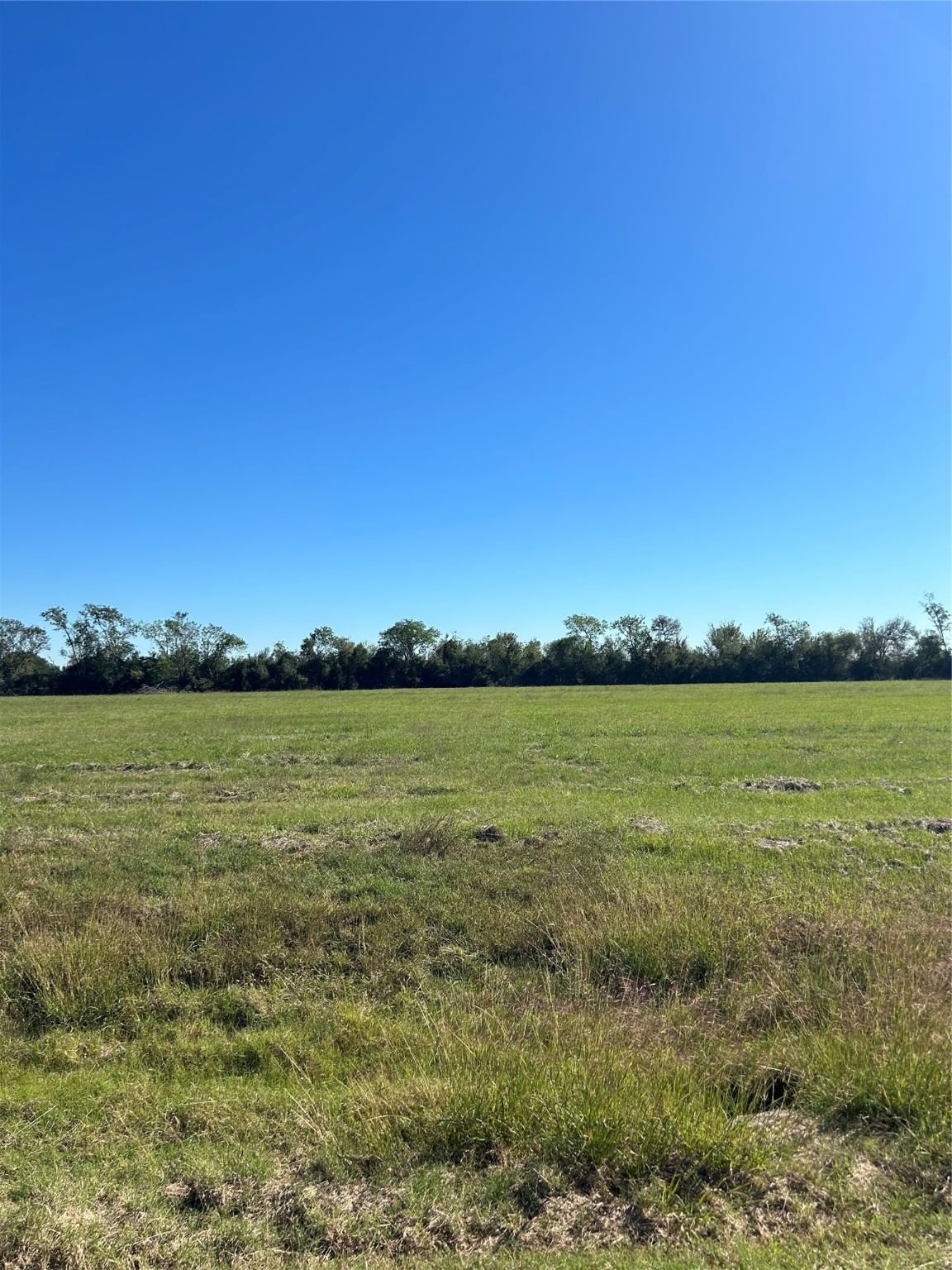 Real estate property located at 000 Brahman, Brazoria, Bar X Ranch Sec 7, Angleton, TX, US