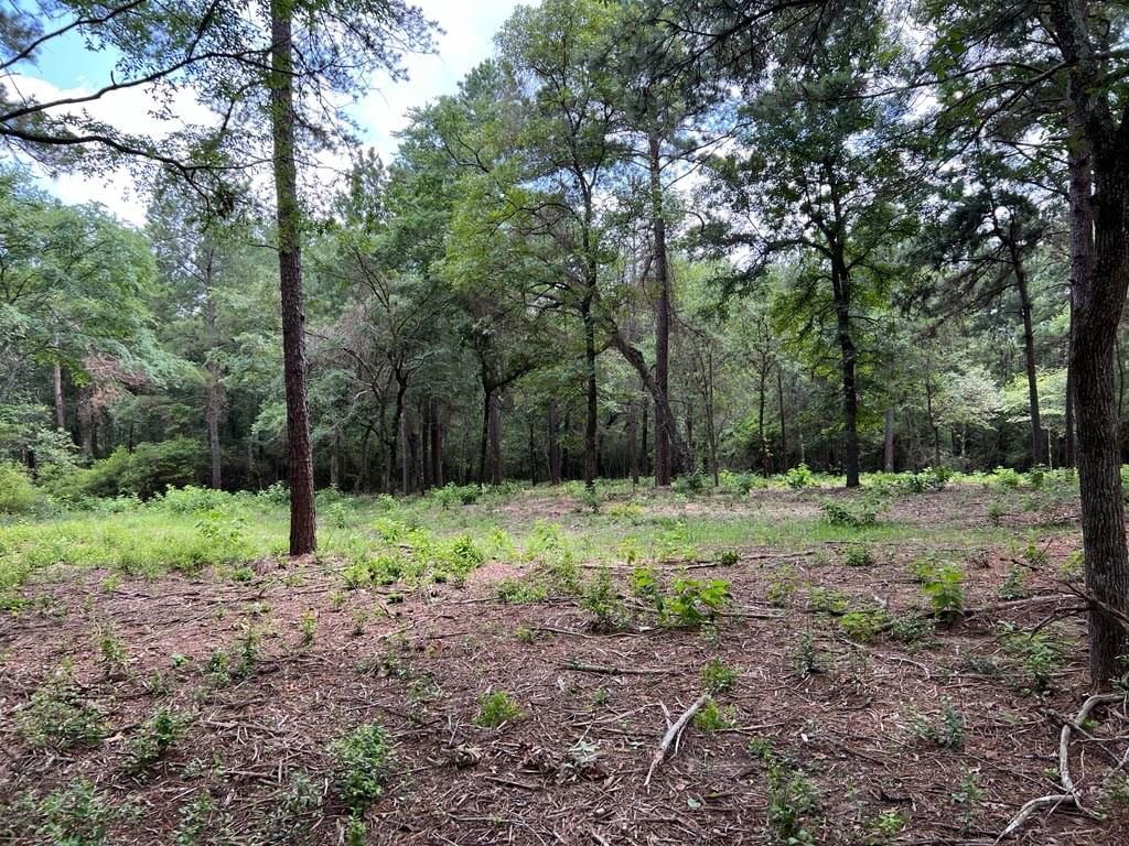 Real estate property located at TBD County Road 302, Grimes, Other, Plantersville, TX, US