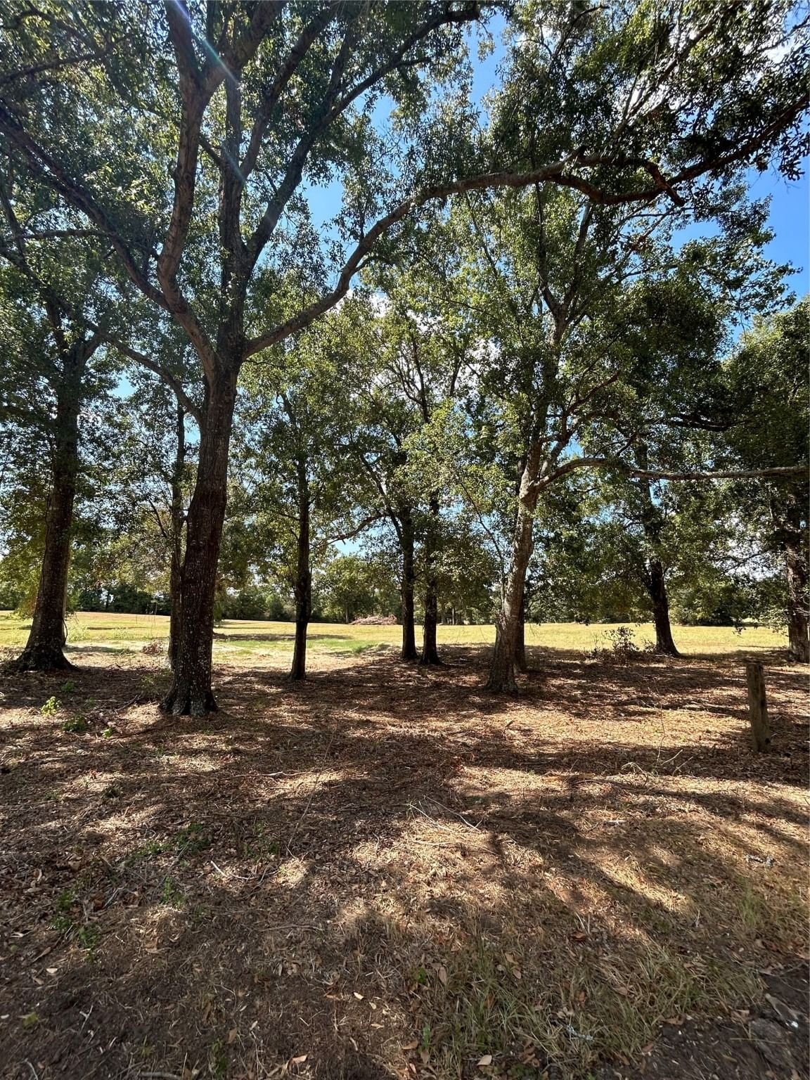Real estate property located at Lot 6 Easy Street, Polk, Livingston, TX, US