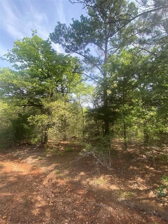 Real estate property located at 237-238 Cheyenne Dr, Bastrop, Lake Thunderbird, Smithville, TX, US