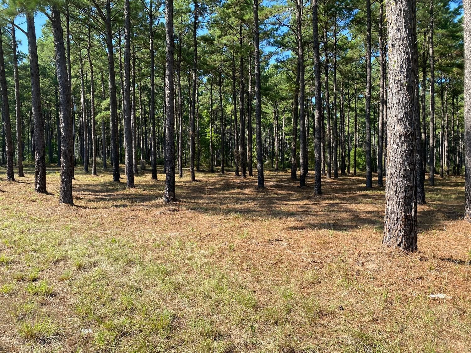 Real estate property located at 8250 State Highway 103 W, Angelina, N/A, Lufkin, TX, US