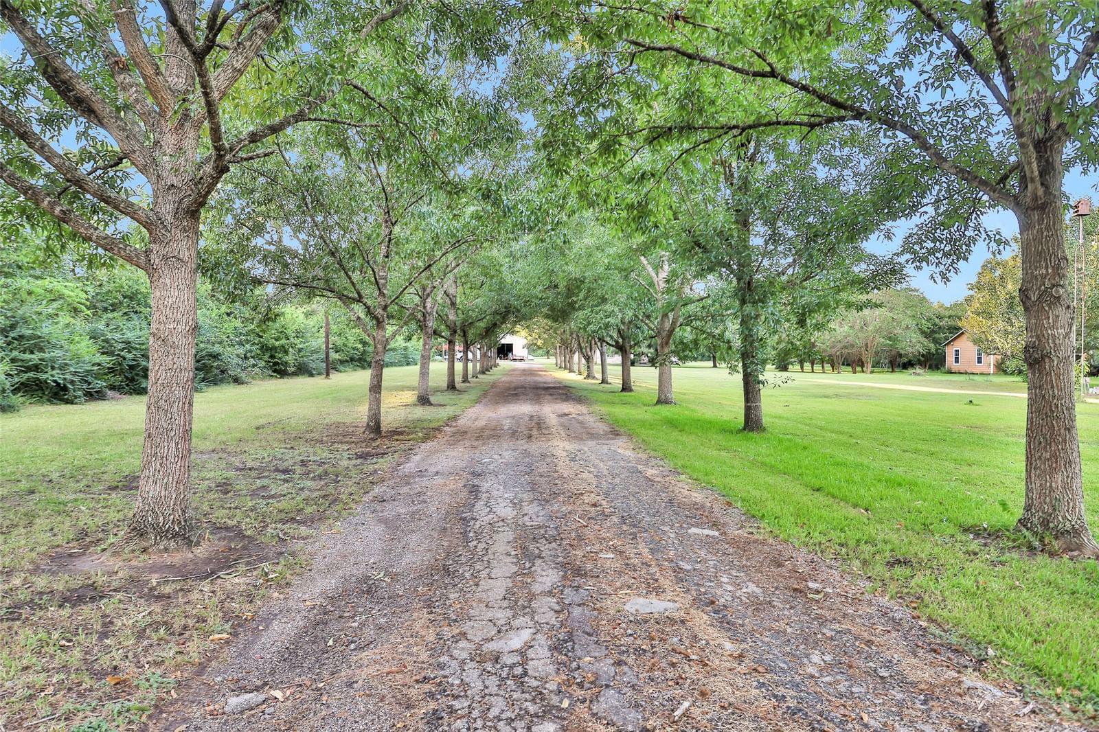 Real estate property located at 18135 Highway 75, Montgomery, Samuel Lindley Surv A-23, Willis, TX, US