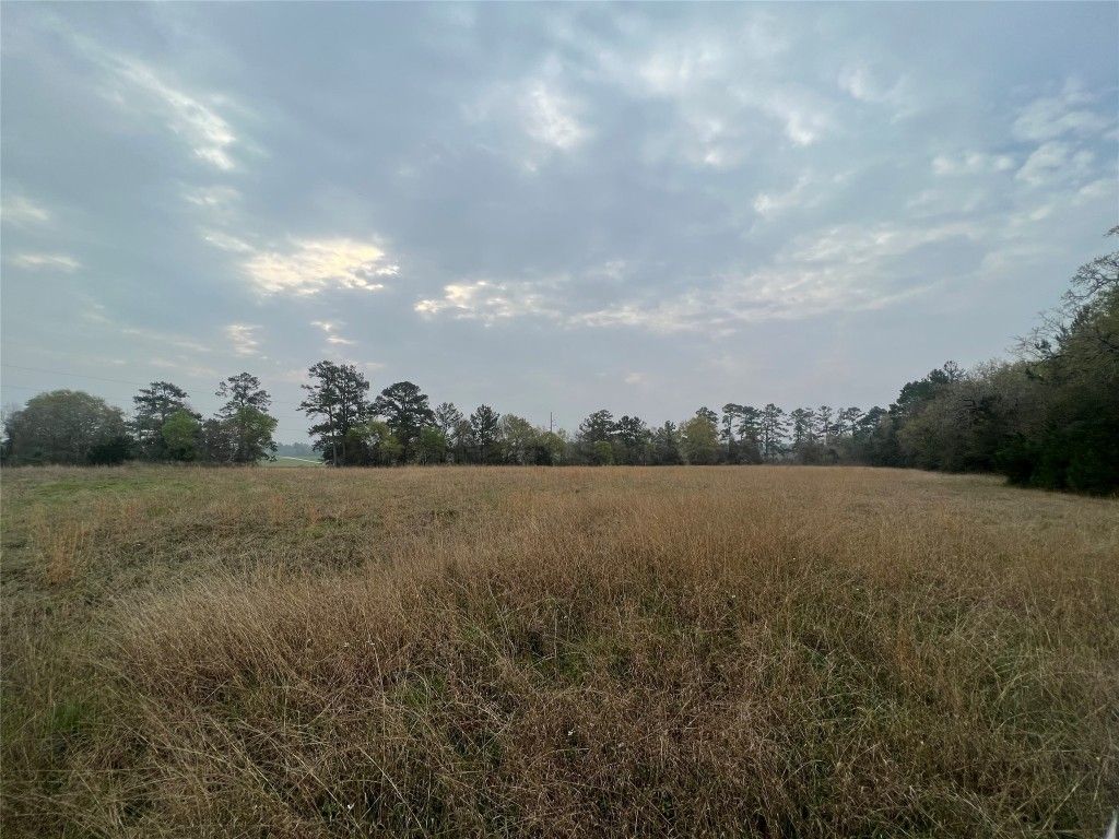 Real estate property located at 23651 Bays Chapel, Montgomery, Richards, TX, US