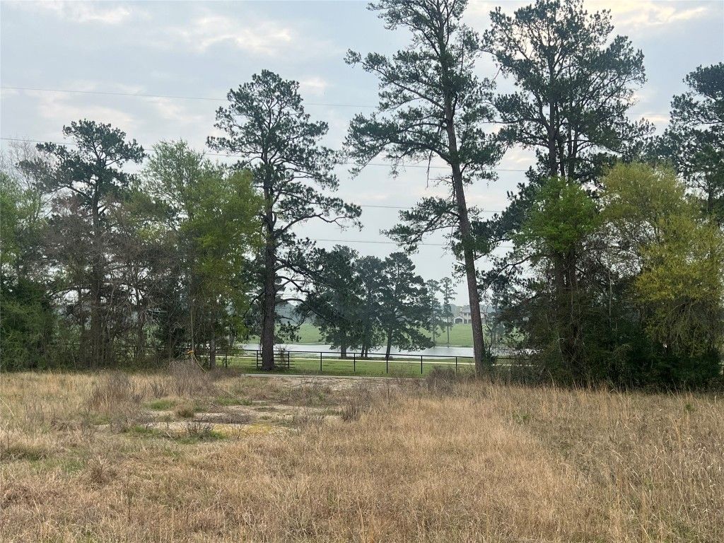 Real estate property located at 23651 Bays Chapel, Montgomery, Richards, TX, US