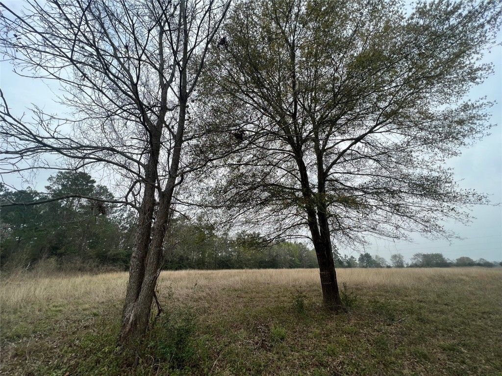 Real estate property located at 23651 Bays Chapel, Montgomery, Richards, TX, US