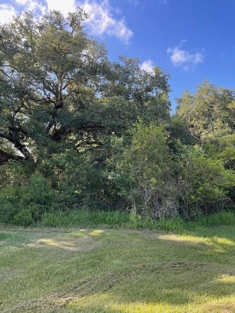 Real estate property located at 826 Comanche Trail, Brazoria, Suncreek Estates Sec 1-2, Rosharon, TX, US