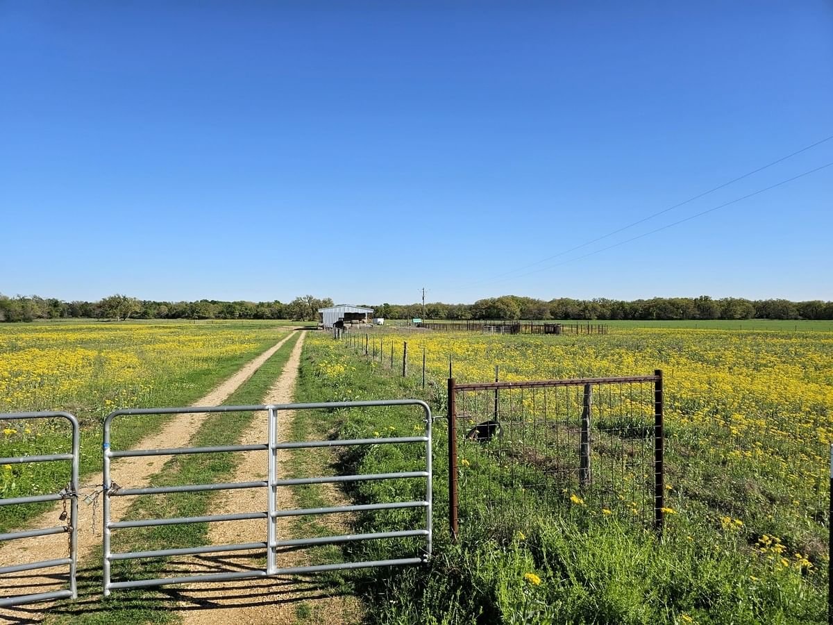 Real estate property located at TBD FM 979 and Elmo Rd, Robertson, none, Calvert, TX, US