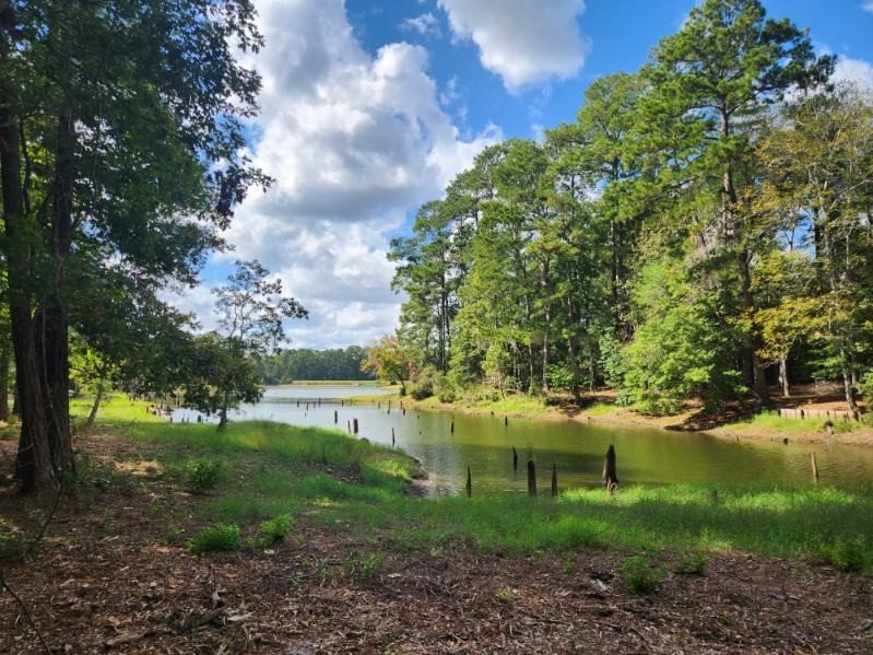 Real estate property located at 0 Summer, Polk, Forest Spgs Sec 1, Livingston, TX, US