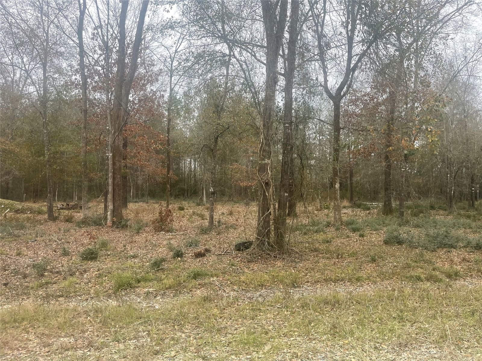 Real estate property located at Tract 2 Old Hwy 35, Polk, Marston Manor, Livingston, TX, US