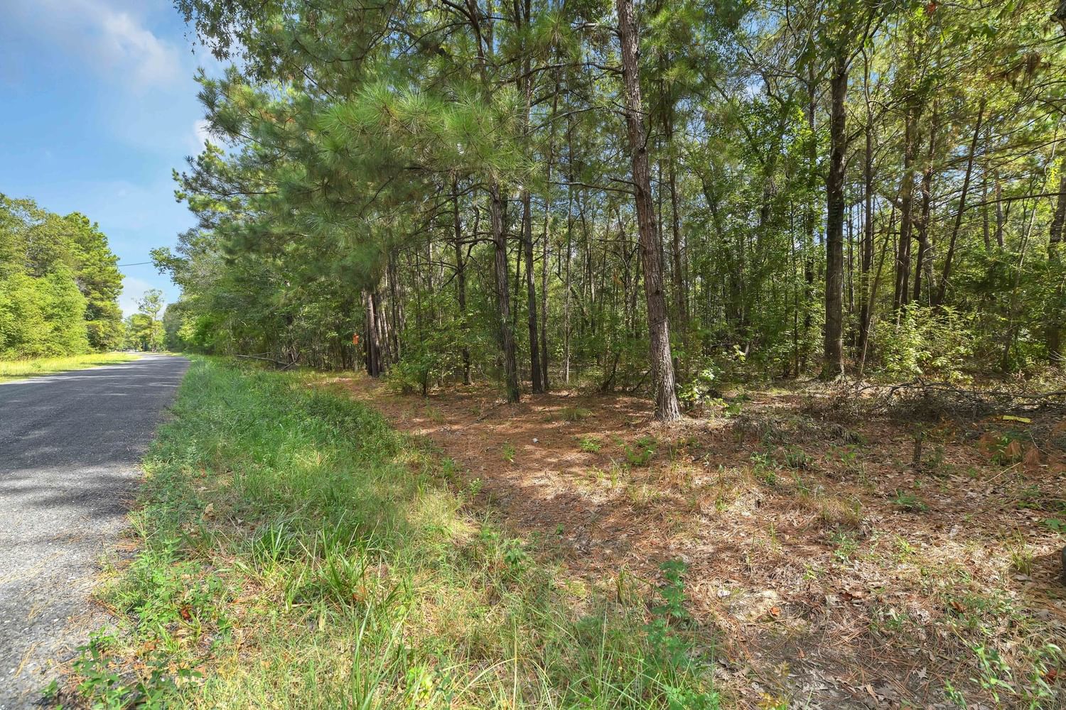 Real estate property located at TBD (F) County Road 3015, Carters Loop Rd, Liberty, Dayton, TX, US