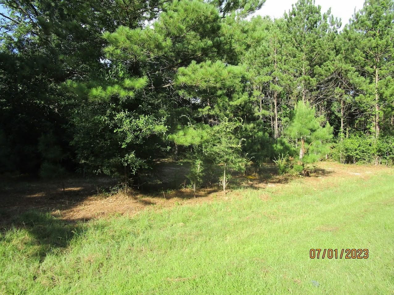 Real estate property located at 30622 Meadow Wood, Montgomery, Cripple Creek Farms 01, Magnolia, TX, US