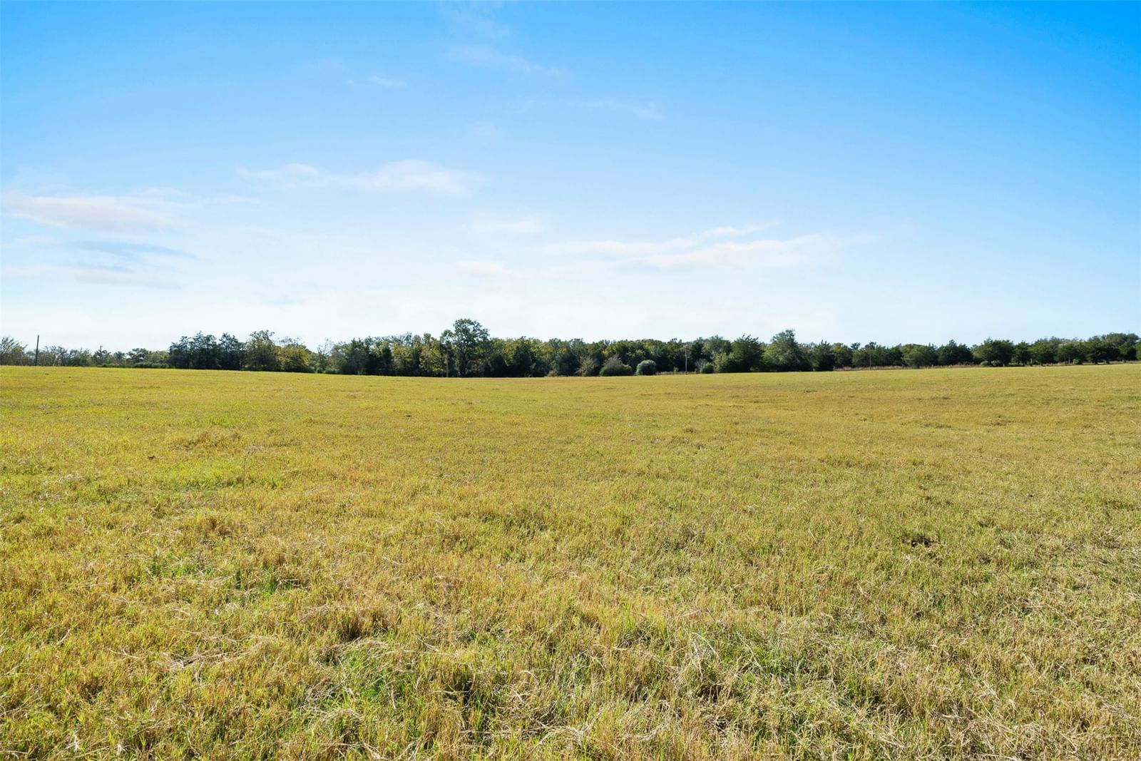 Real estate property located at 5.5 AC Farm to Market 1940, Robertson, M/A, Franklin, TX, US