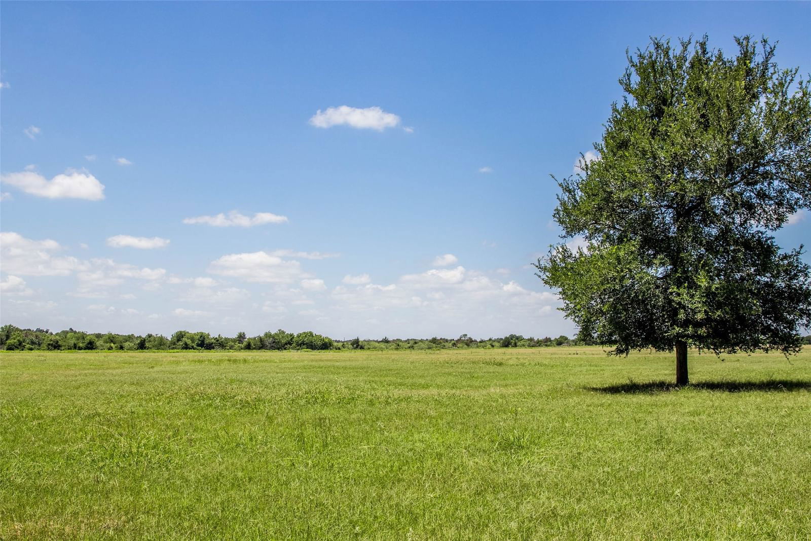 Real estate property located at 11752 County Road 318, Burleson, Other, Caldwell, TX, US