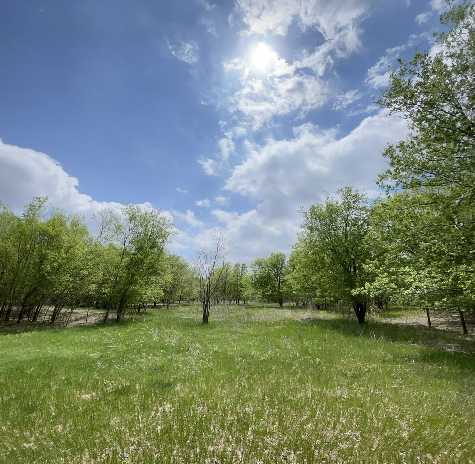 Real estate property located at 005 County Road 2348, Hill, 0517, Abbott, TX, US