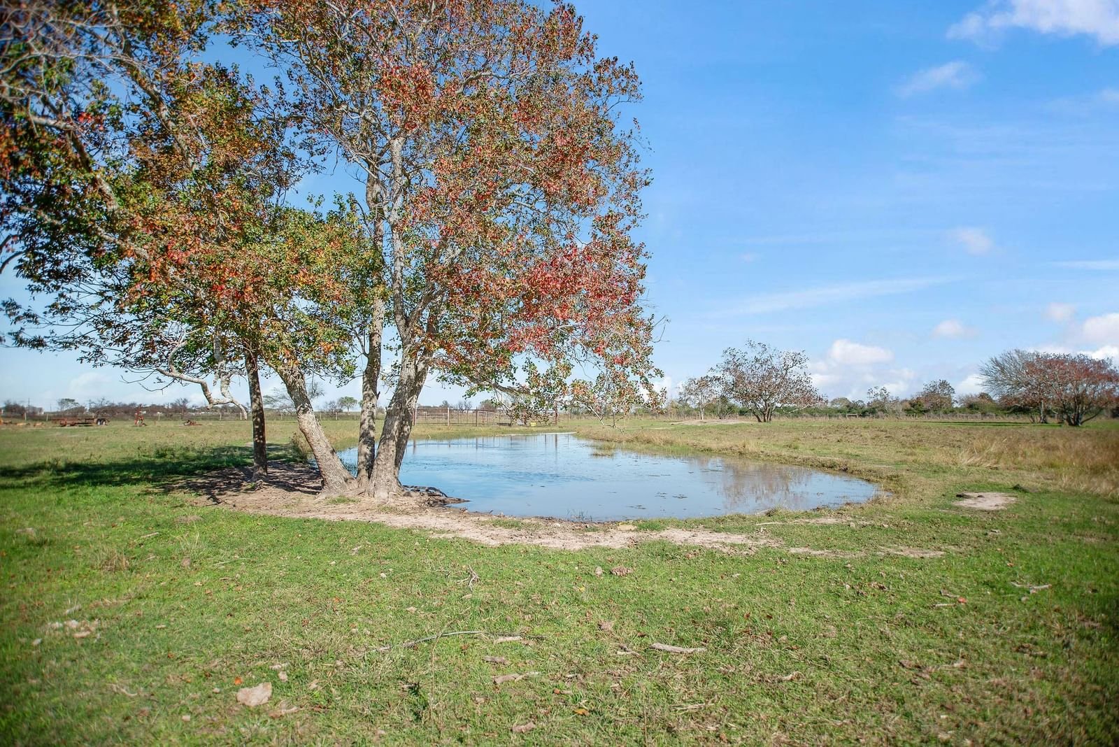 Real estate property located at TBD County Road 429, Jackson, R F Clement, Lolita, TX, US