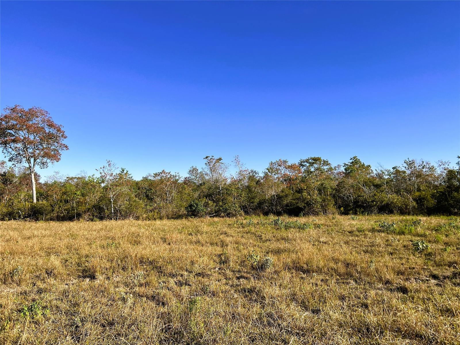 Real estate property located at 0018 Eagle Rd, Chambers, Anahuac, Anahuac, TX, US