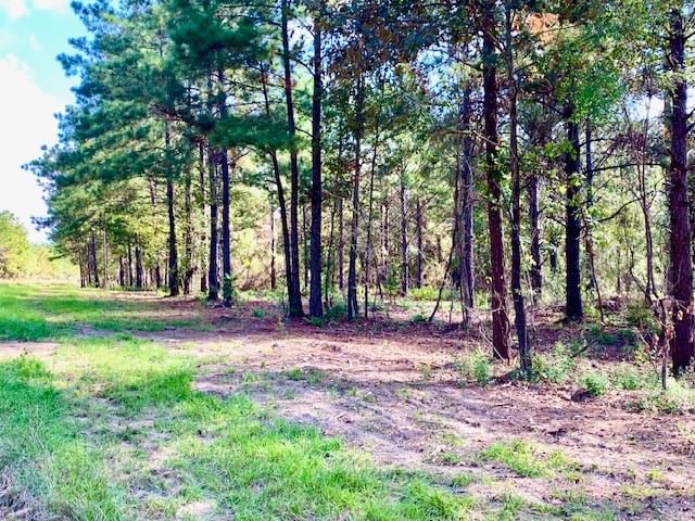 Real estate property located at TBD CR 2310, Tyler, Rural, Woodville, TX, US