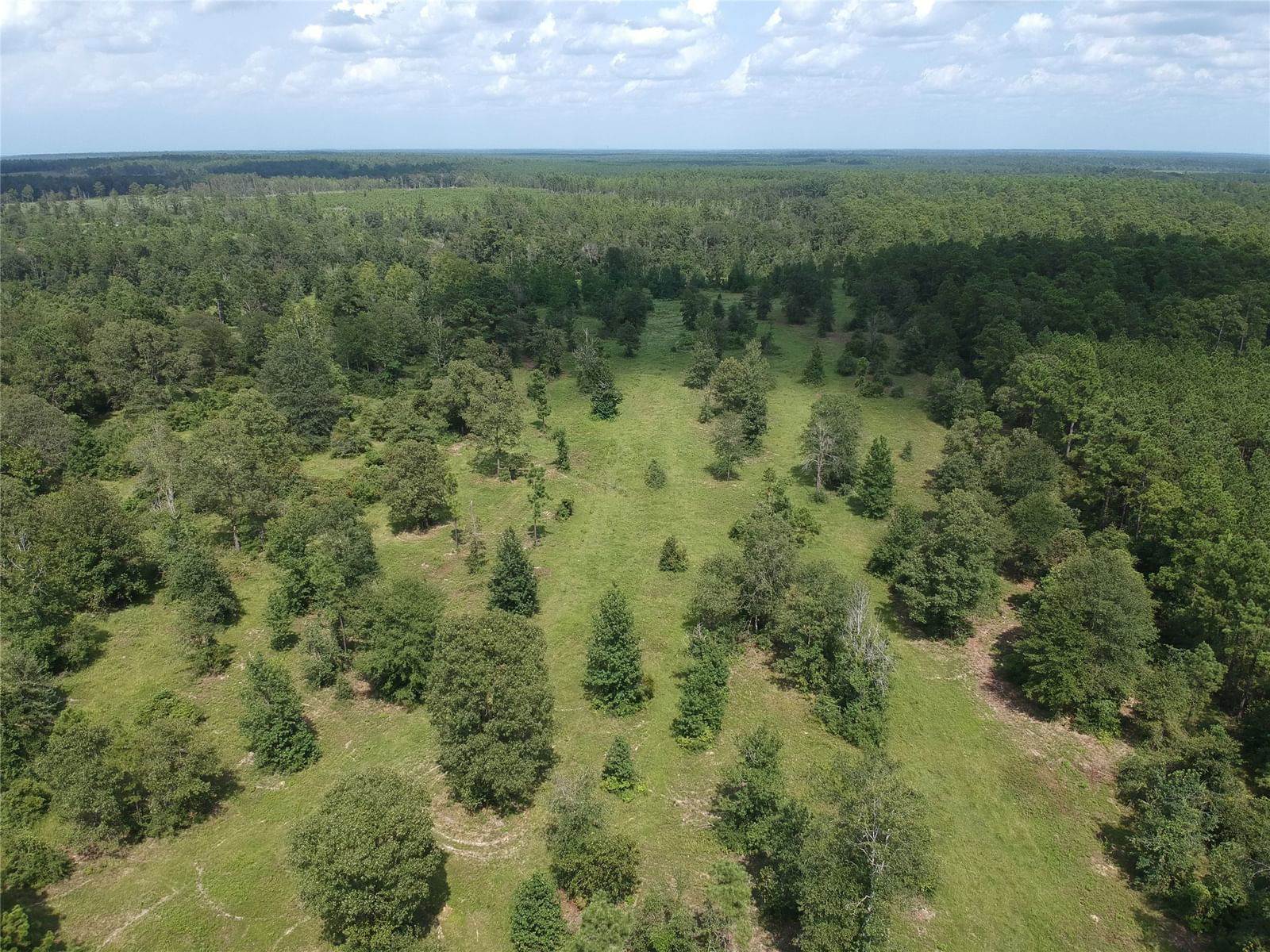 Real estate property located at TBD Private Road 8385, Tyler, Stephen P West Surv Abs #784, Hillister, TX, US