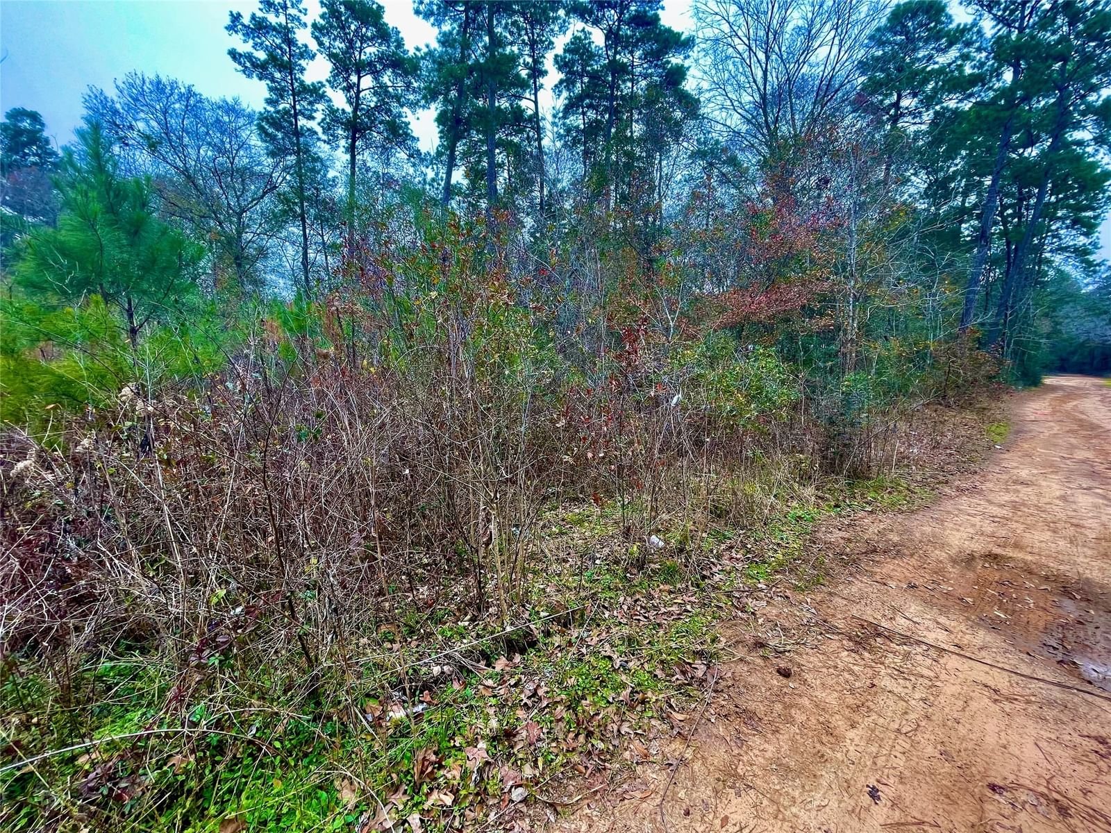 Real estate property located at Lot 12 Holly Knoll, Grimes, Pinebrook, Plantersville, TX, US