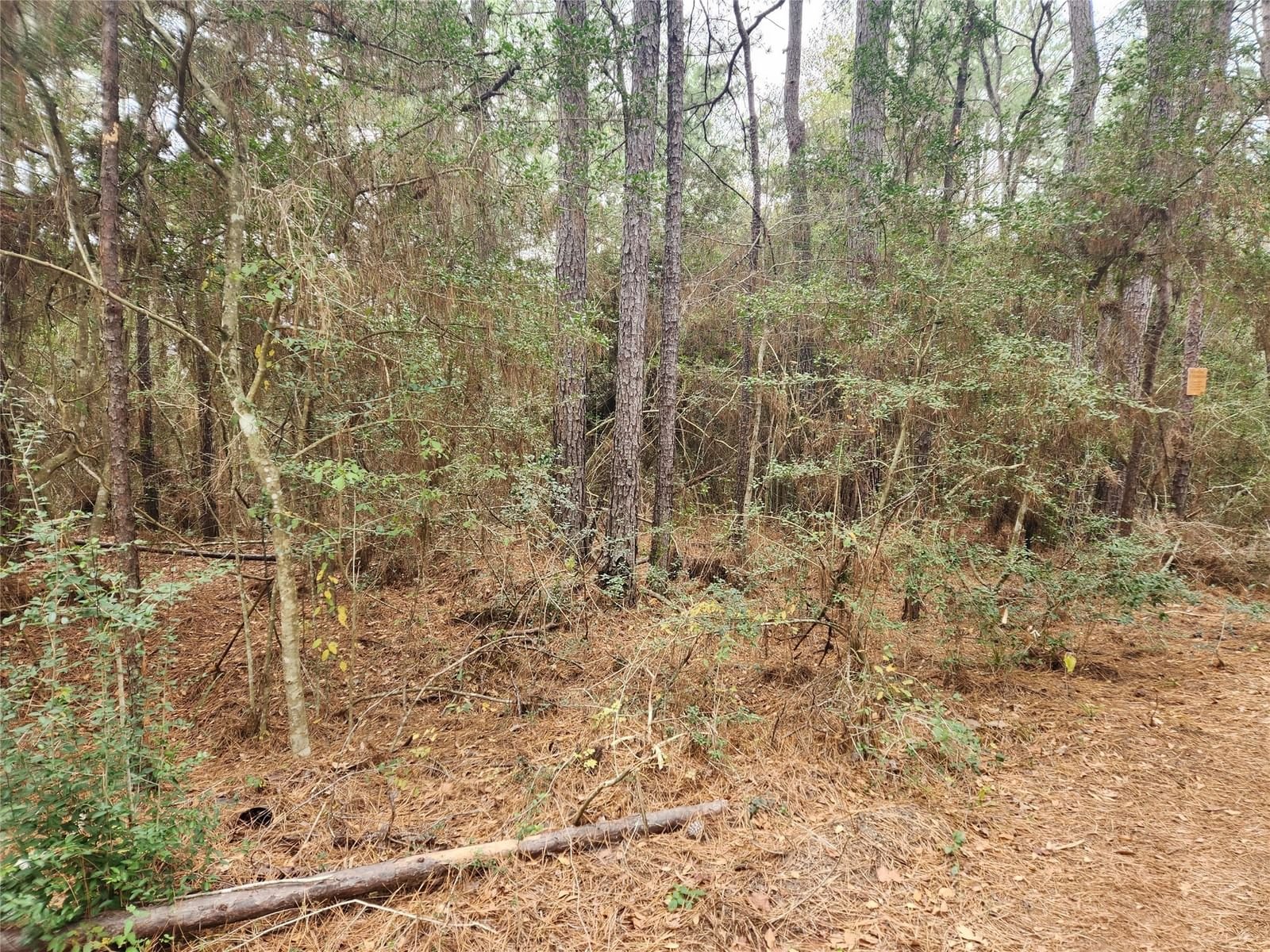 Real estate property located at Lot 9 Honeylocust, Grimes, Pinebrook, Plantersville, TX, US