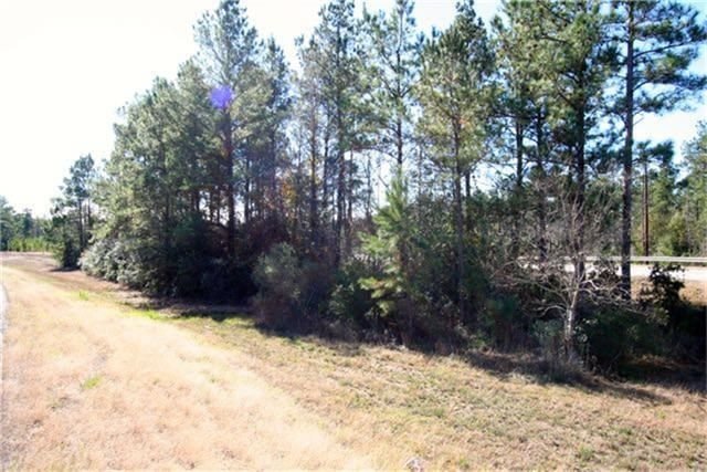 Real estate property located at 21322 Big Buck, Montgomery, Peach Creek Plantation 01, Cleveland, TX, US