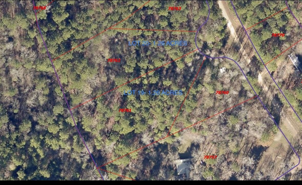 Real estate property located at TBD Lot 20 Tall Timbers, San Jacinto, Tall Timbers, Coldspring, TX, US