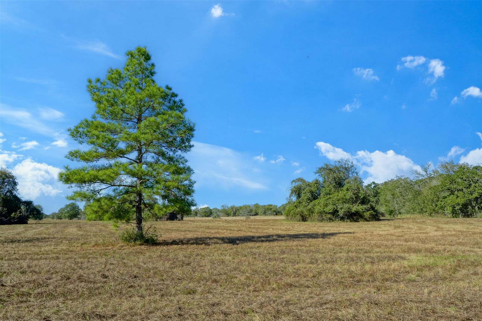 Real estate property located at Lot 12 County Rd 229, Grimes, n/a, Bedias, TX, US