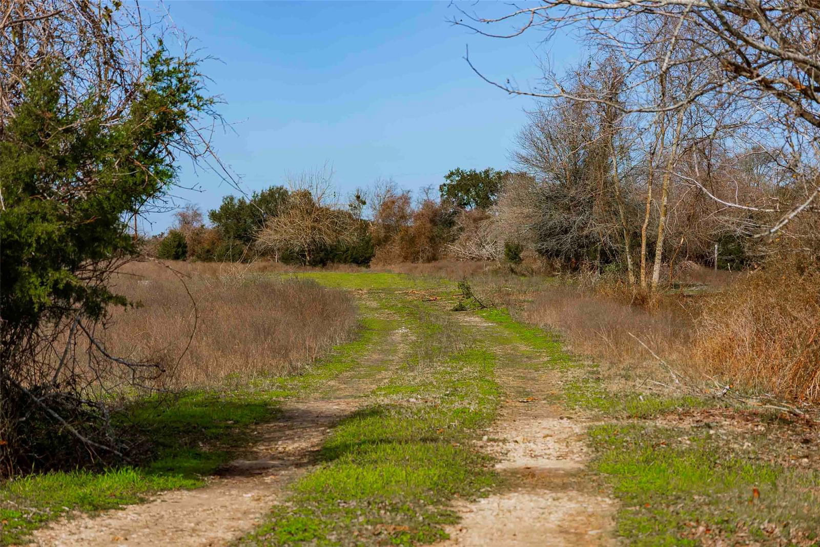 Real estate property located at Tract 2 Walhalla, Fayette, Walhalla Ranch, Round Top, TX, US