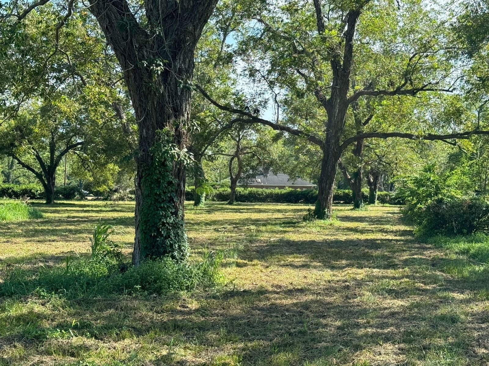 Real estate property located at TBD PECAN ROW, Wharton, The Orchard Sect1, Wharton, TX, US